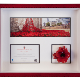 Poppy Framing